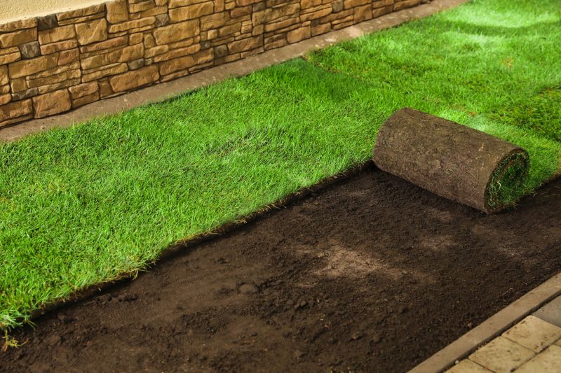 Grass Replacement in Ventura County, CA