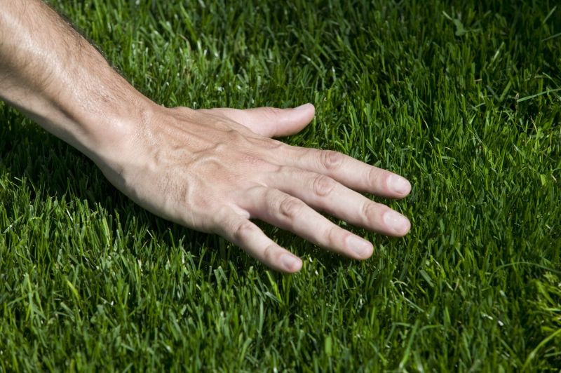 Bermuda Grass Installation in Ventura County, CA