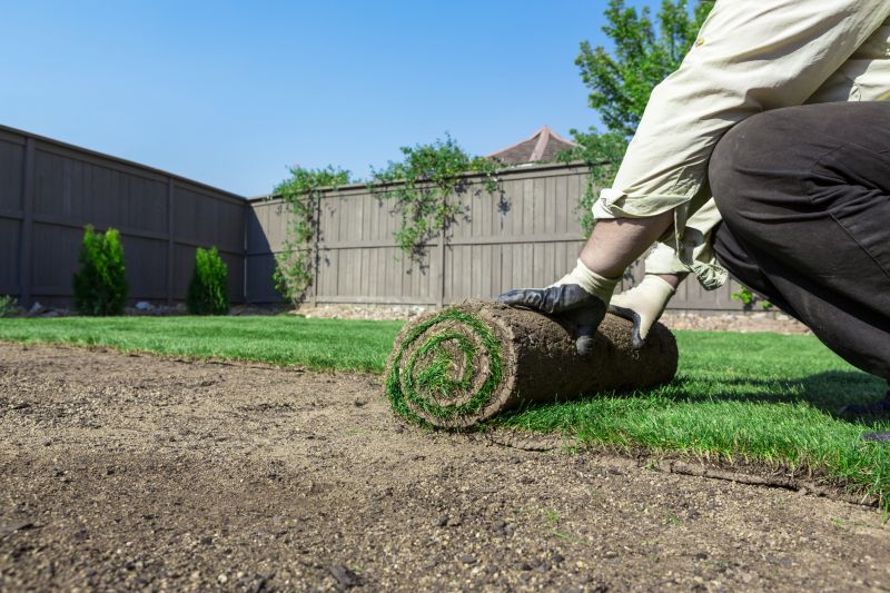 Bluegrass Sod Installation in Honolulu, HI