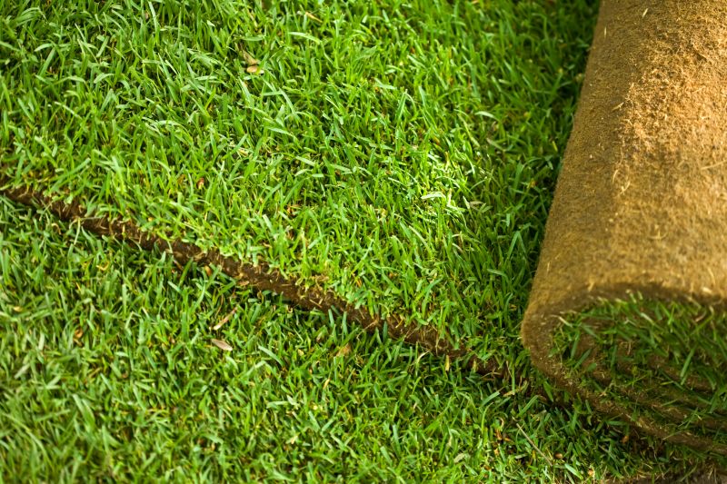 Commercial Sod Installation in Ventura County, CA