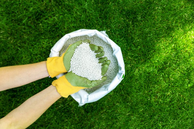 Fall Lawn Fertilizing in Honolulu, HI