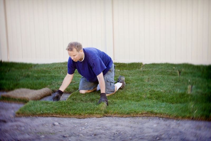 Grass Replacement in Ventura County, CA