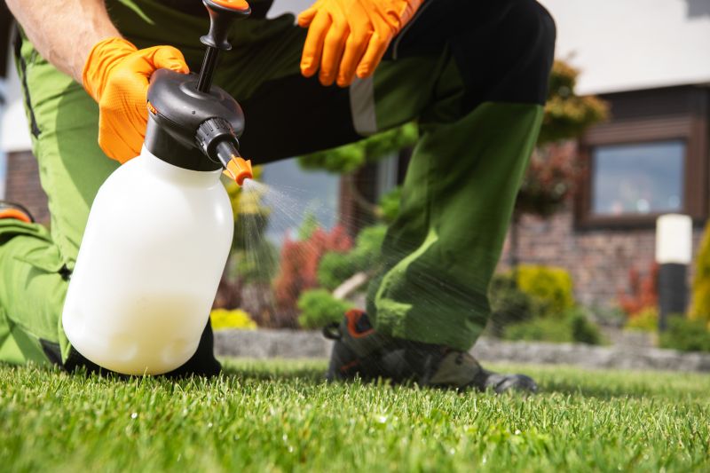 Lawn Herbicide Treatment in Rockwall, TX