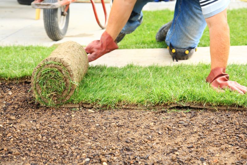 Lawn Sodding in Rockwall, TX