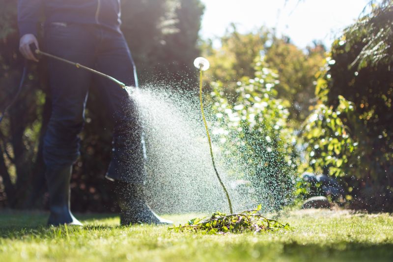 Lawn Weed Spraying in Honolulu, HI