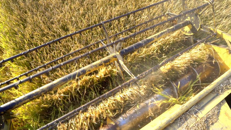 Aeration Equipment Close-Up