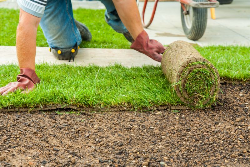 Sodding Service in Honolulu, HI
