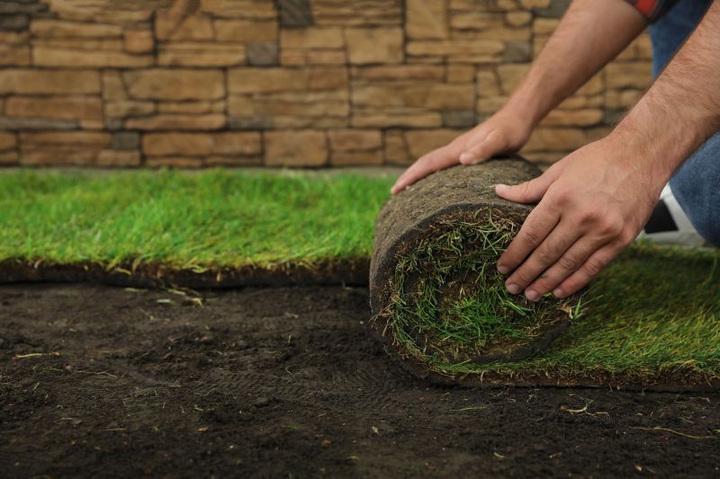 Turfing Service in Honolulu, HI