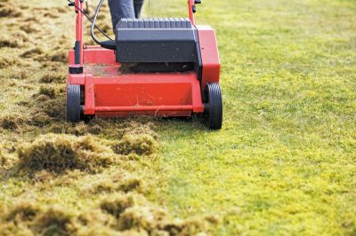 Prevention of Pest and Disease Issues
